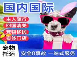 张掖甘州机场空运国际宠物托运 【国